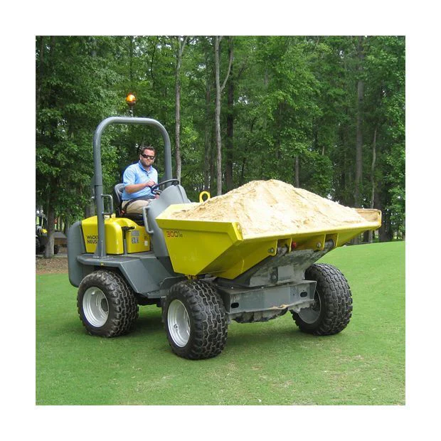 Alquiler Dumpers; Dumper Wacker Neuson 3001