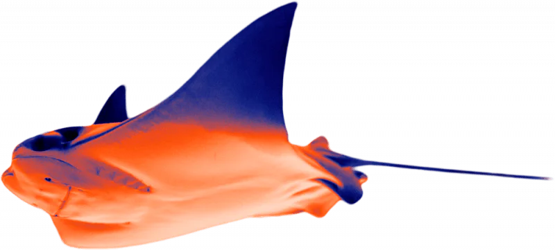 animal energia