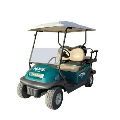 Buggy eléctrico 4 personas