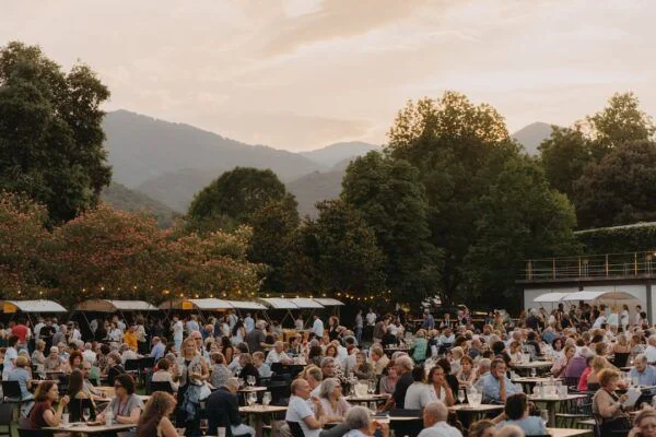 festival vallviva