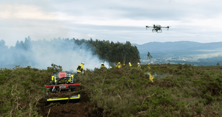 alquiler desbrozadora forestal